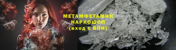 индика Елабуга