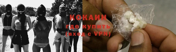 дурь Елизово