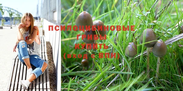 мяу мяу кристалл Дмитриев
