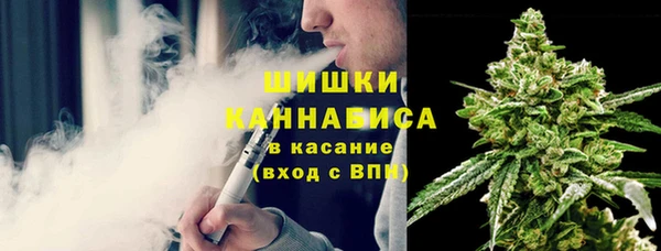 дурь Елизово