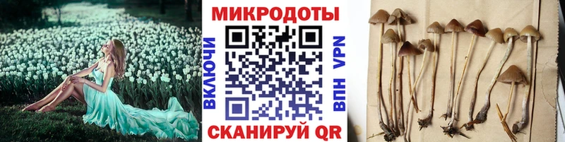 Галлюциногенные грибы Psilocybe  Купить где  Жуковка 
